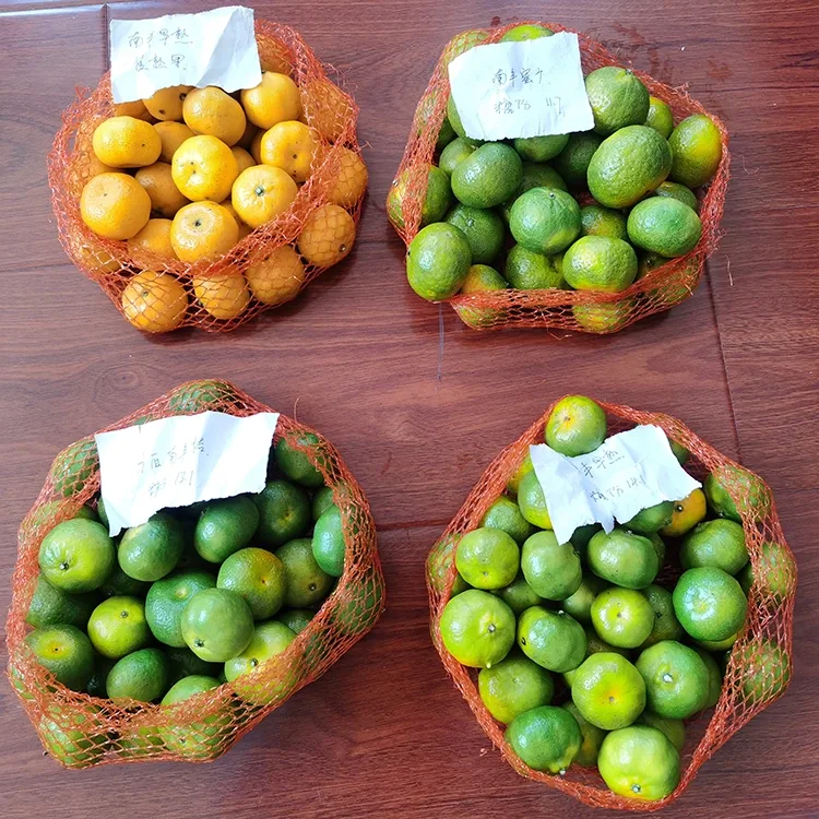 Svježi med mandarina