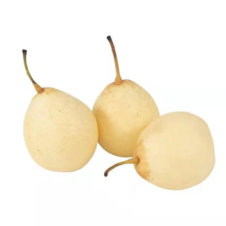 Svježe ubrana Ya Pear