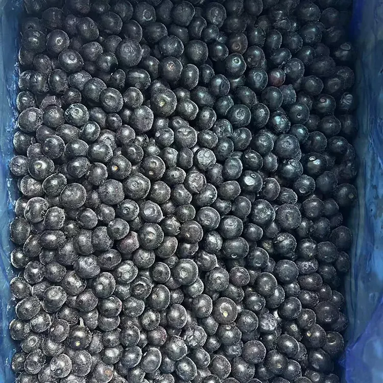 Smrznute borovnice Premium IQF borovnice