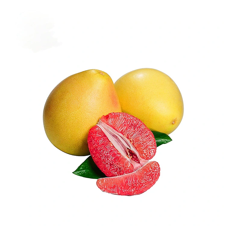 Pulp Red Mesh Med Pomelo