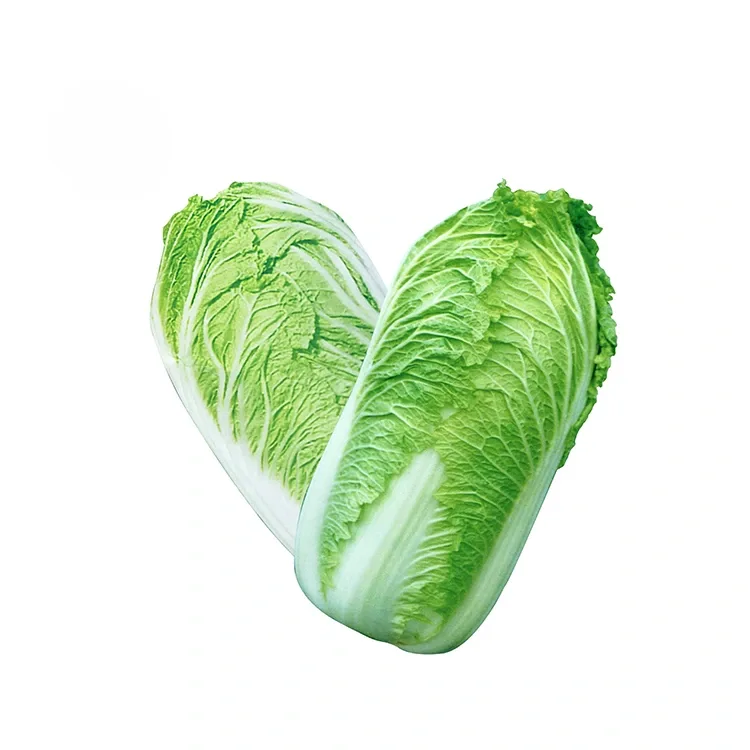 Bašte Svježi kineski kupus