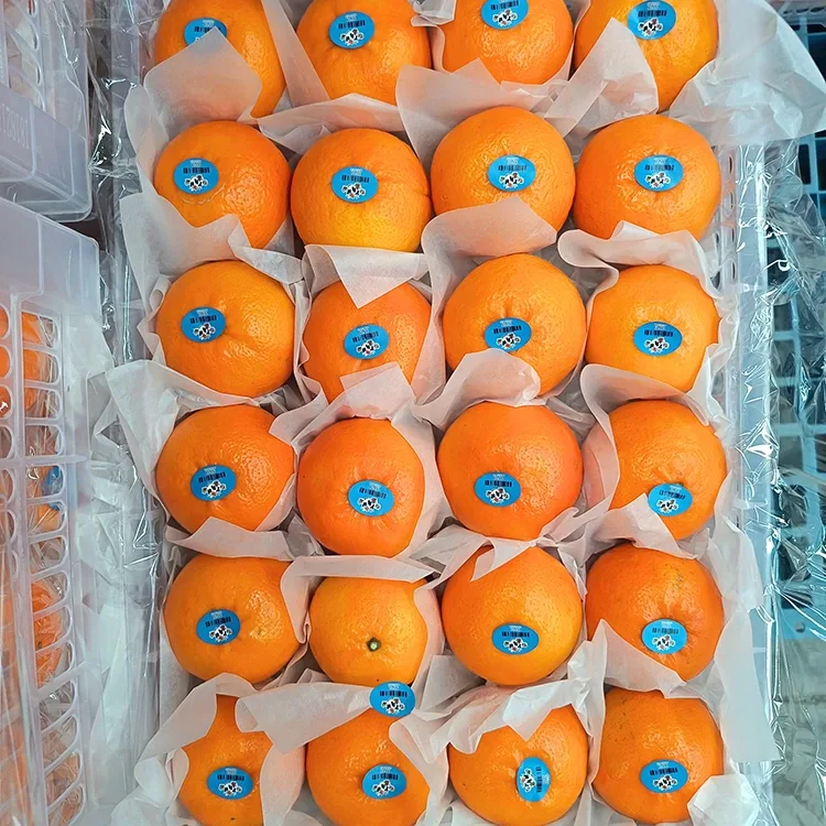Premium svježe slatke Wogan mandarine