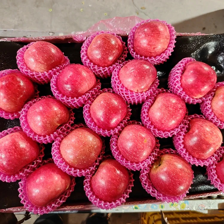 Vrhunske svježe Jiguan jabuke